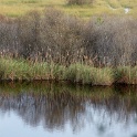 2009-12-lacanau-OK (19)